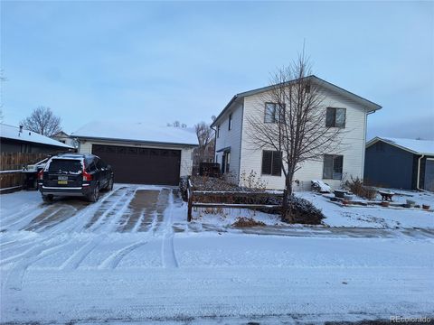 6619 W 96th Avenue, Westminster, CO 80021 - #: 8858239