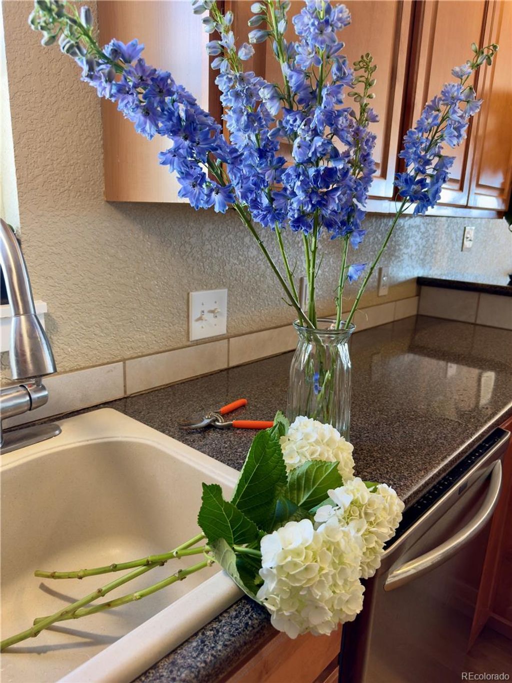 Photo of 201 Pratt Street, Longmont, CO 80501 (MLS # 8923496)