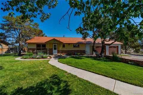 216 Crossman Avenue Buena Vista CO 81211