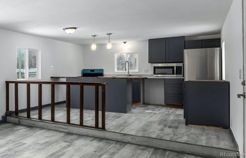 203 S Guanella Street Empire CO 80438