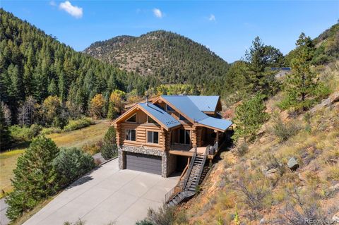 644 Mill Creek Road Idaho Springs CO 80436