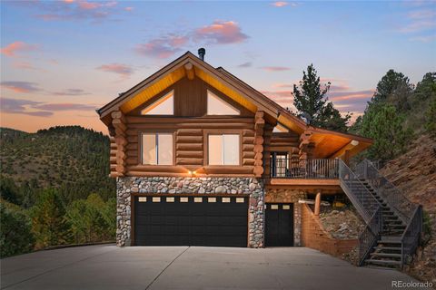 644 Mill Creek Road Idaho Springs CO 80436