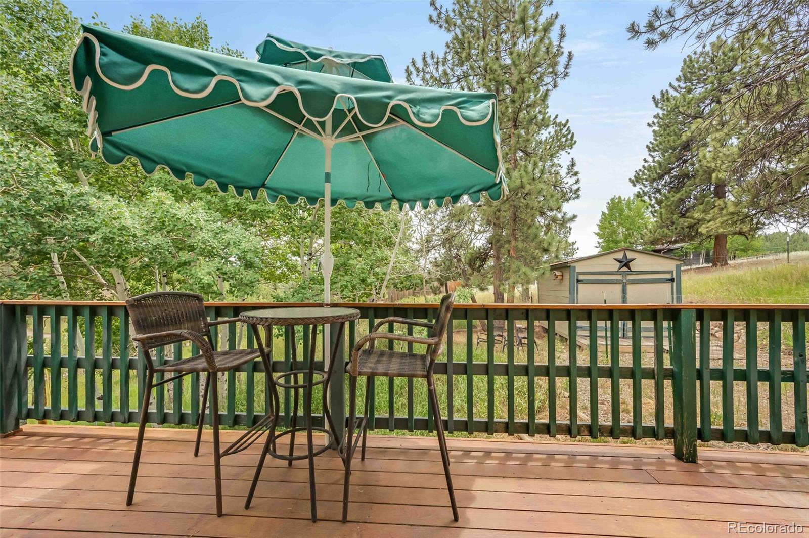162 Pine Trail, Bailey, CO, 80421 4 162 Pine Trail