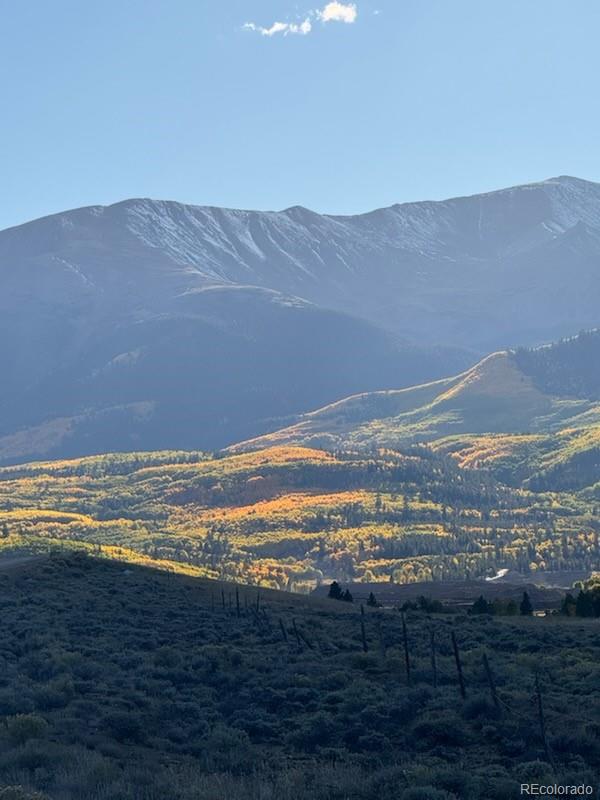 446 Mt Massive Drive