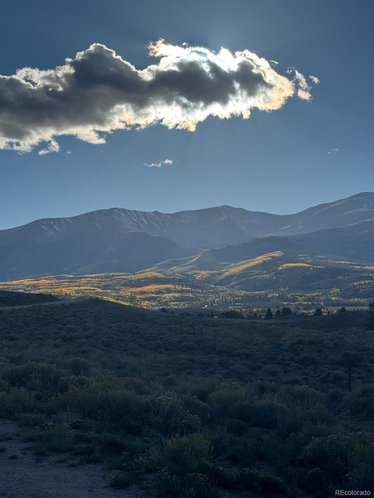 446 Mt Massive Drive