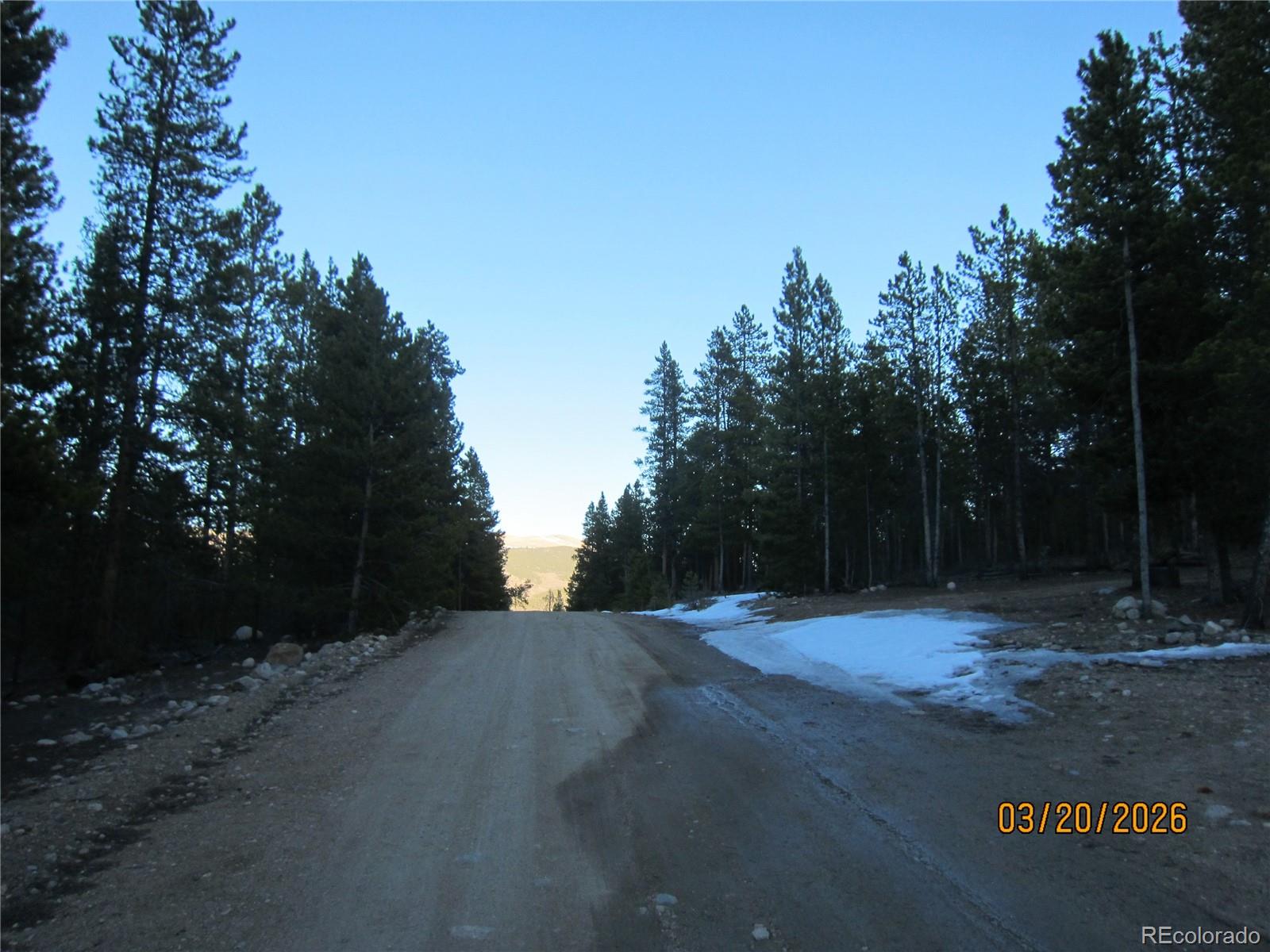 446 Mt Massive Drive