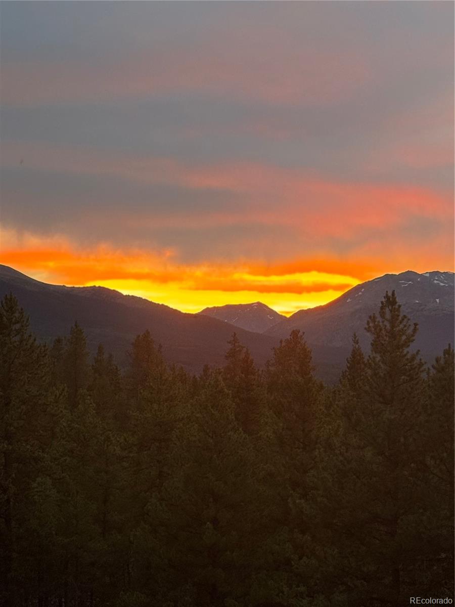 446 Mt Massive Drive