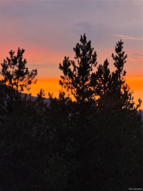 446 Mt Massive Drive Twin Lakes CO 81251