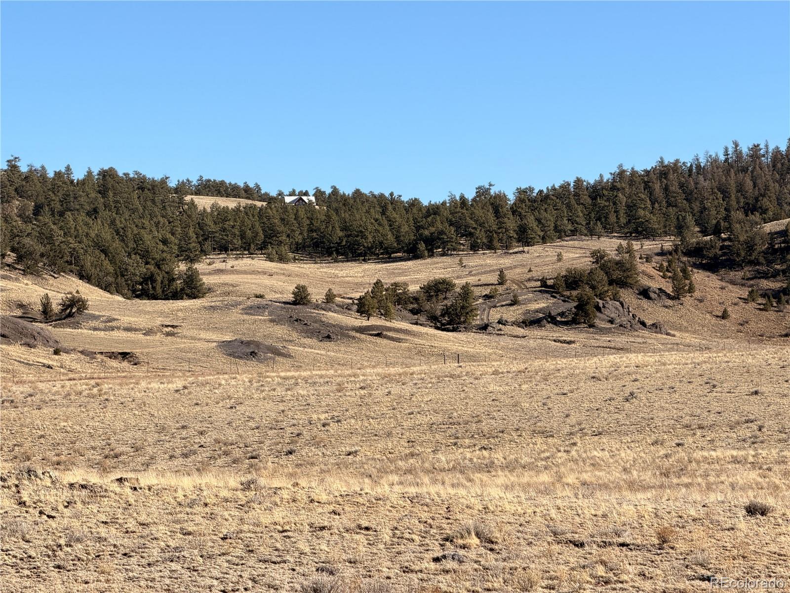 Lots 21 & 24 Thrush Lane