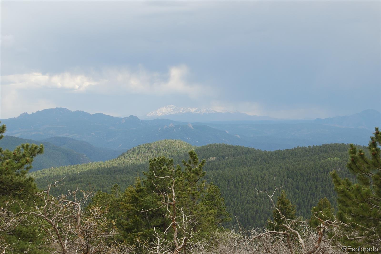 13927 Dancing Bear Trail