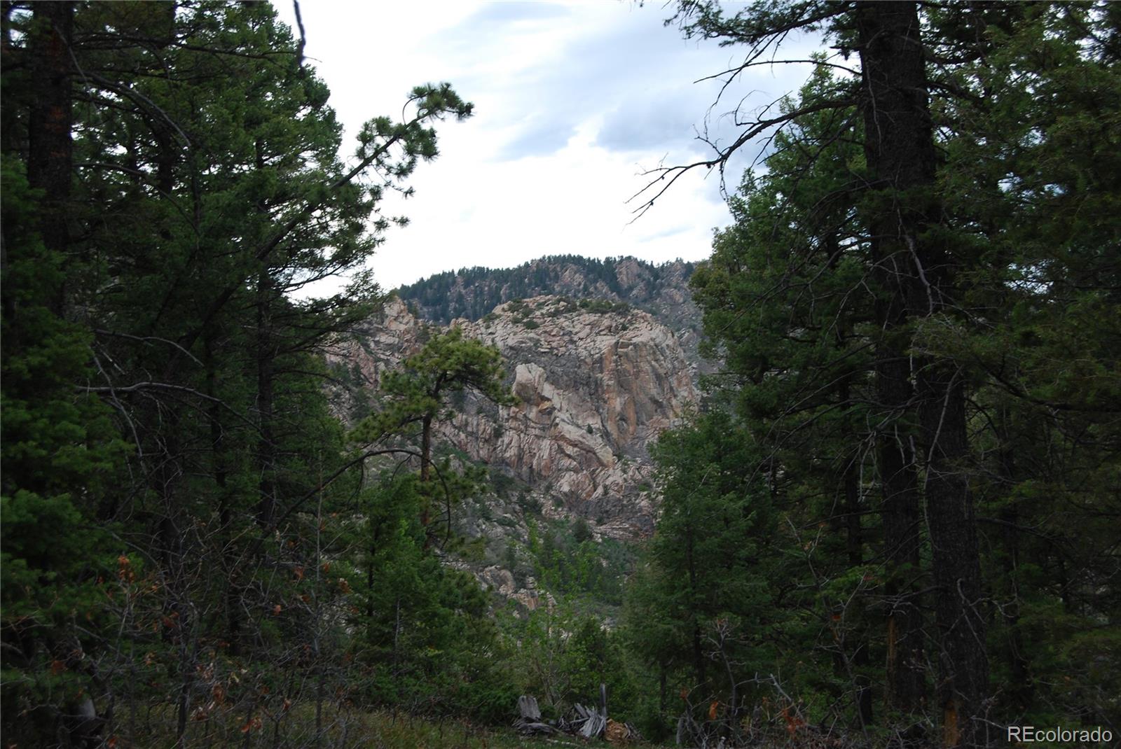 13927 Dancing Bear Trail