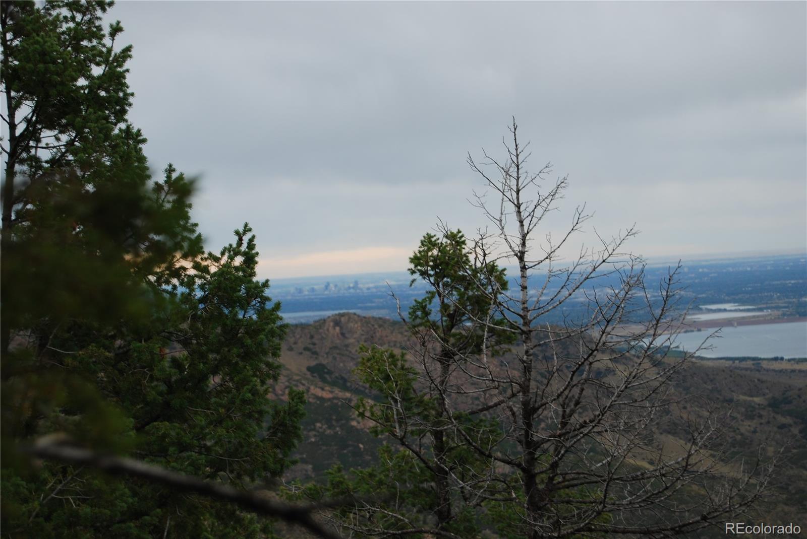 13927 Dancing Bear Trail