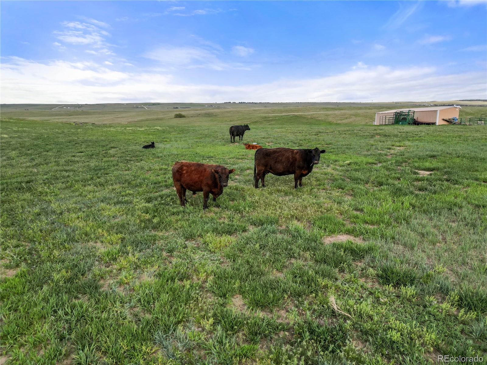 35650 Private Road 35