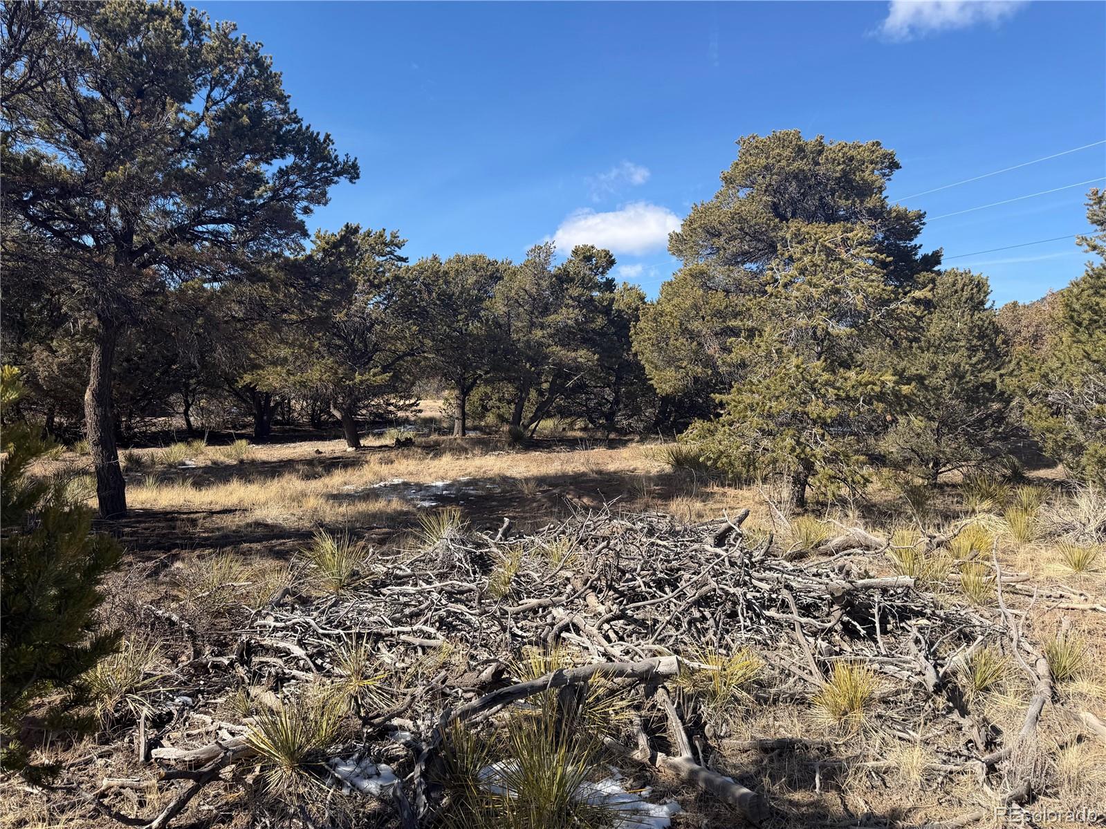 390 Cameron Pass Road