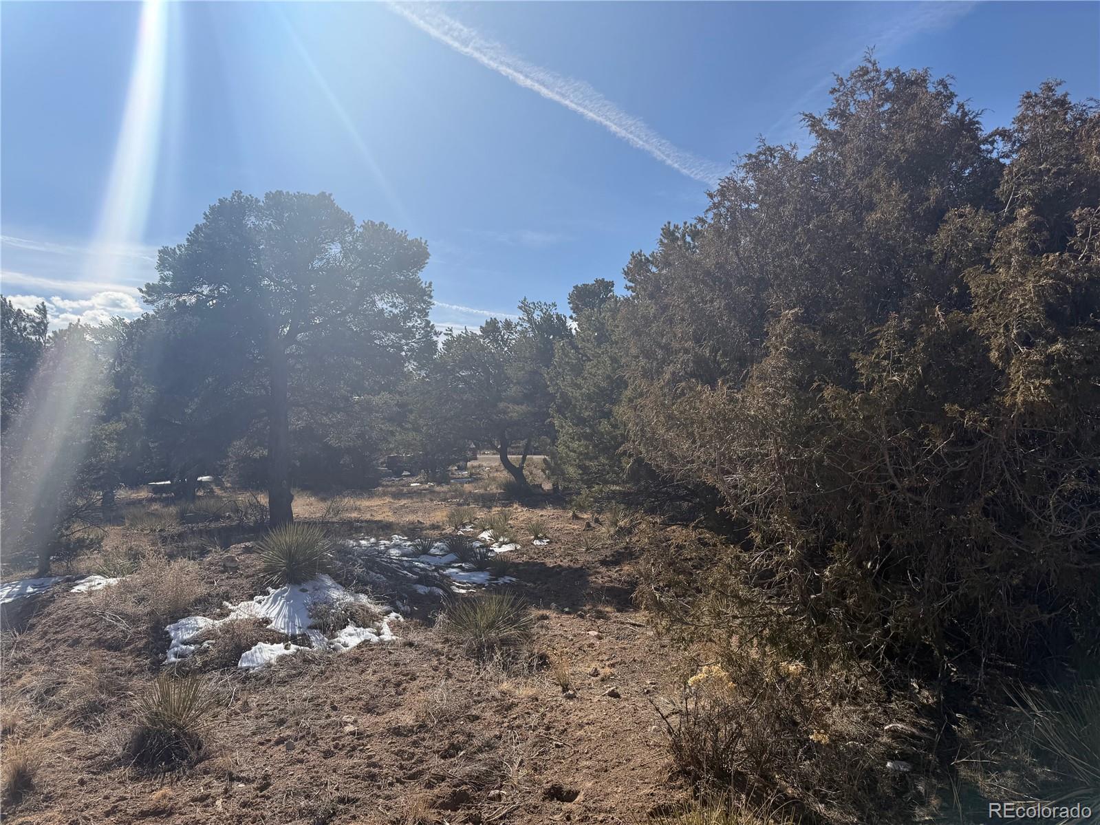 390 Cameron Pass Road