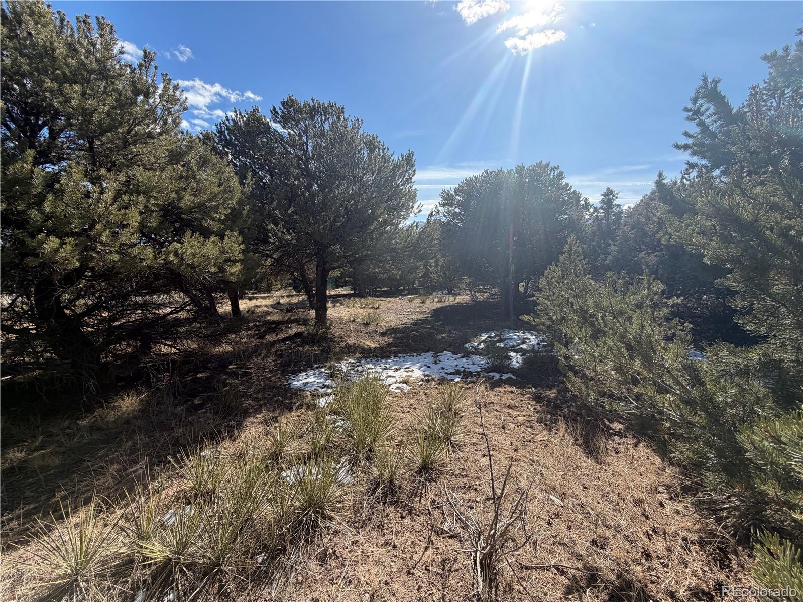 390 Cameron Pass Road