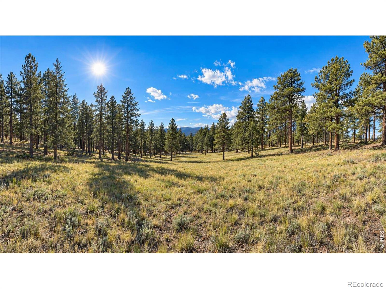 18677 State Highway 7