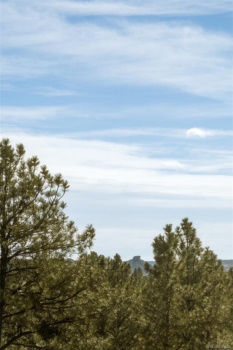 364 Morning Star Way