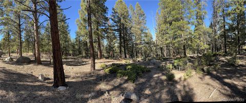 Aspen Turn Buena Vista CO 81211