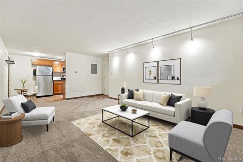 1045 N Clarkson Street 102 Denver CO 80218