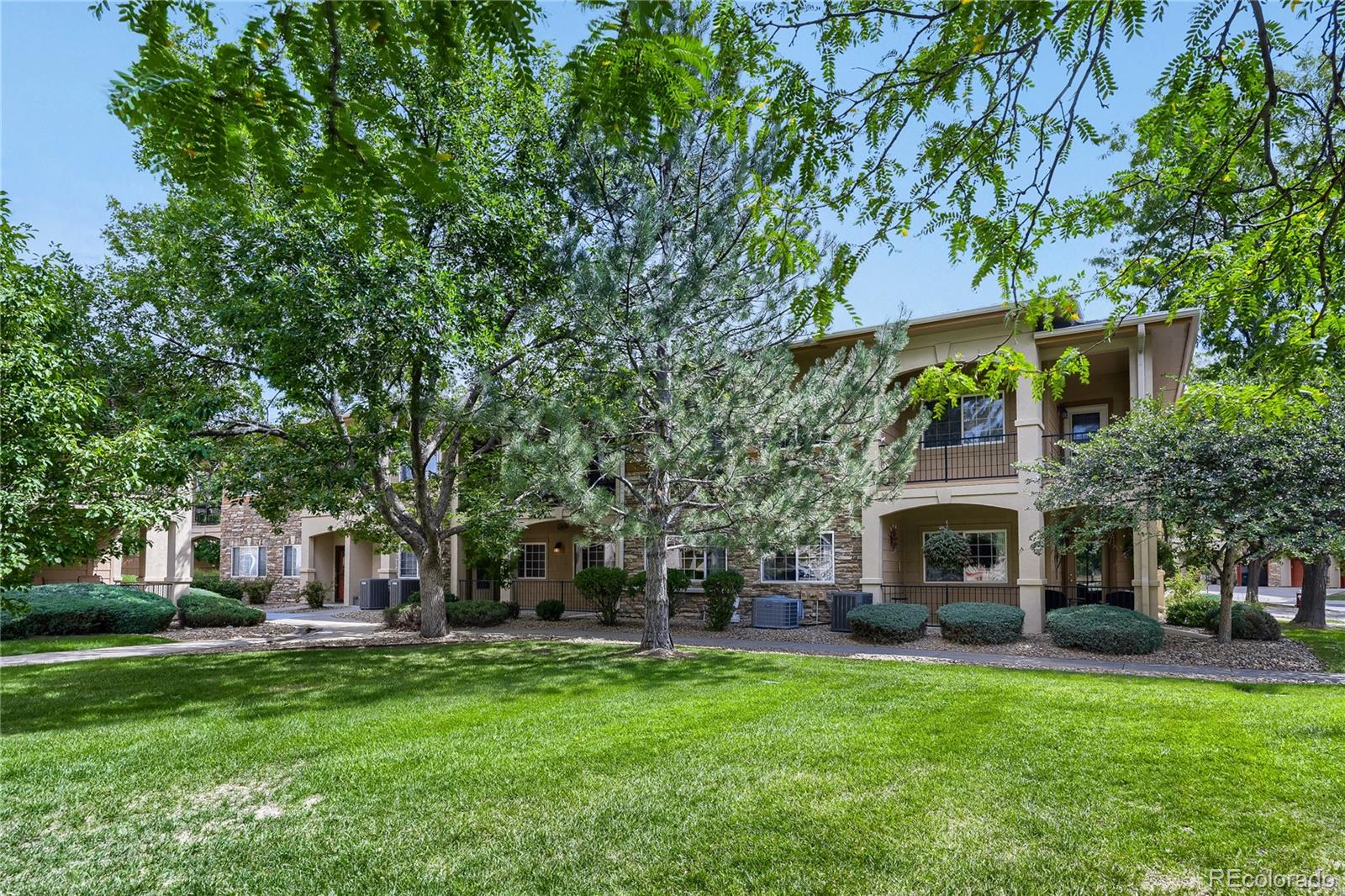 1703 Whitehall Drive 3E