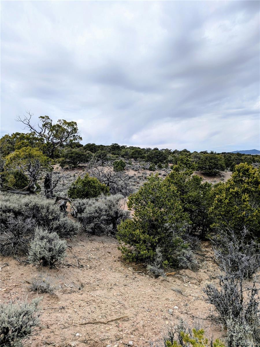 Lot 3589 Freylinghuysen Road