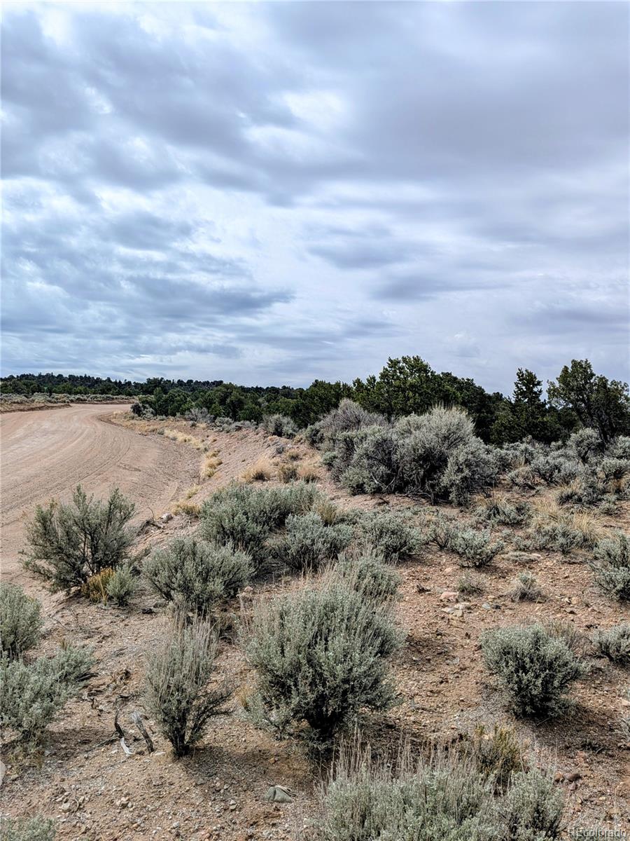 Lot 3589 Freylinghuysen Road