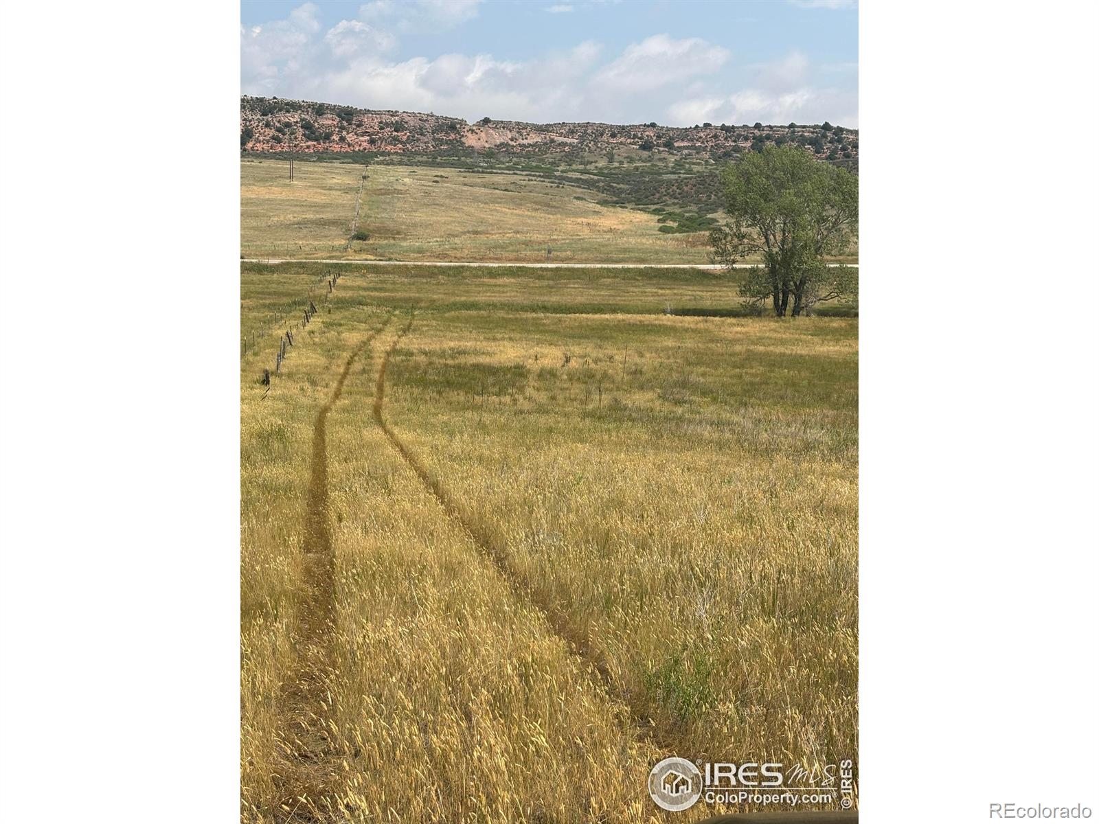 124 Springs Ranch Road