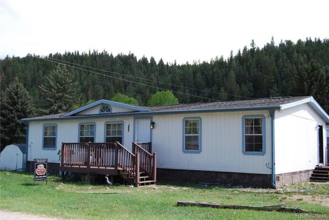 5064 County Road 64 #1 Bailey CO 80421