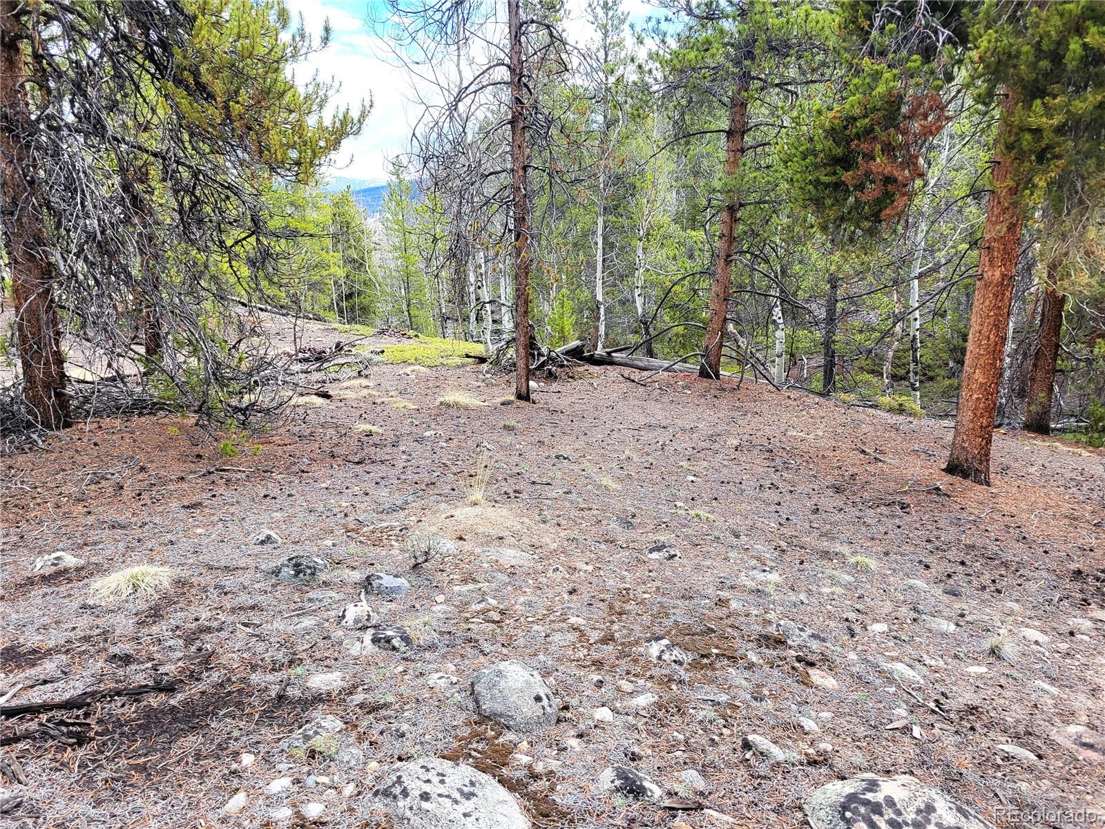 Edward E. Hill Lot 6 Drive