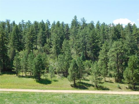 4668 Comanche Drive Larkspur CO 80118