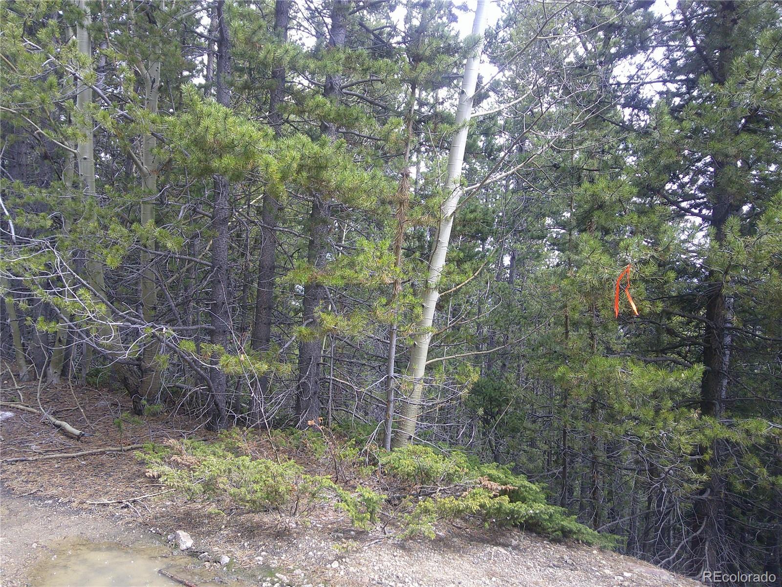 Lot #441 Hillside Road