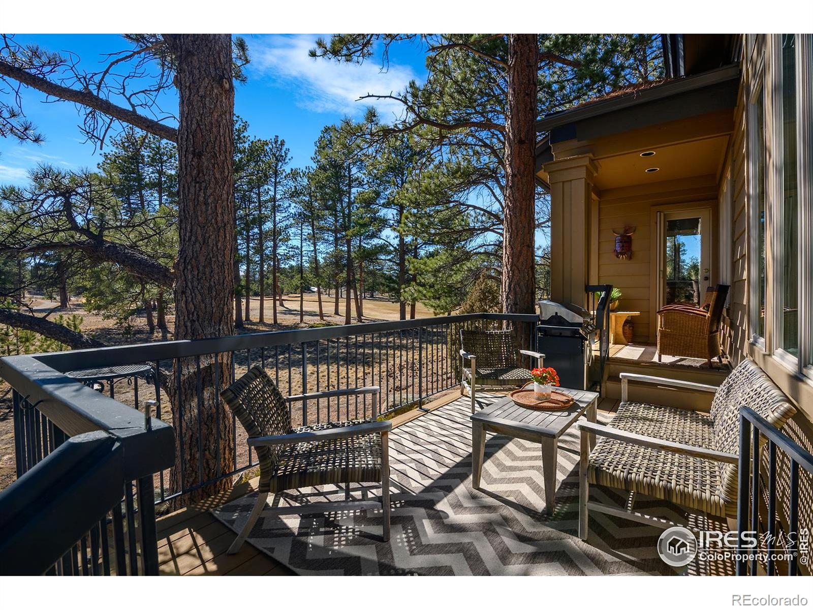 146 Ponderosa Court, Red Feather Lakes, CO, 80545 3 146 Ponderosa Court