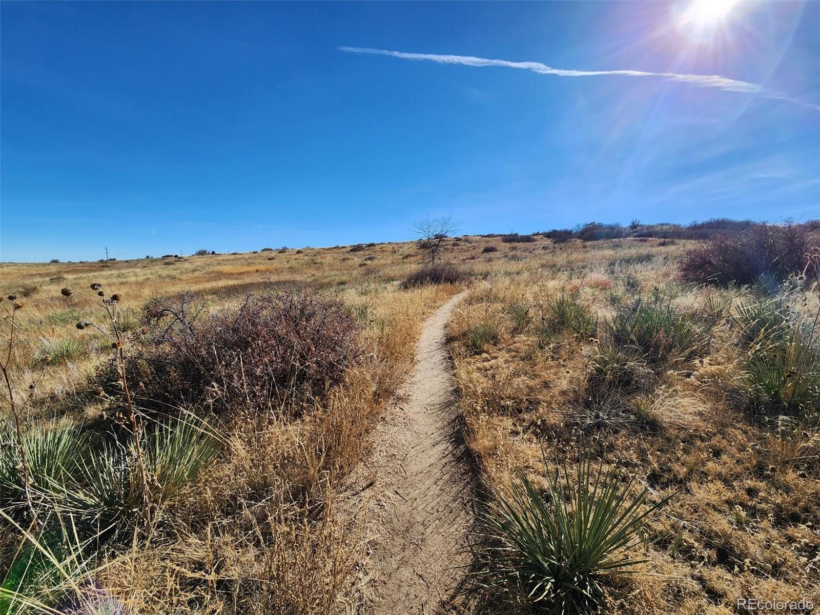 Colorado Springs, Colorado 80917, United States, 3 Bedrooms Bedrooms, ,3 BathroomsBathrooms,Residential,Active,68761