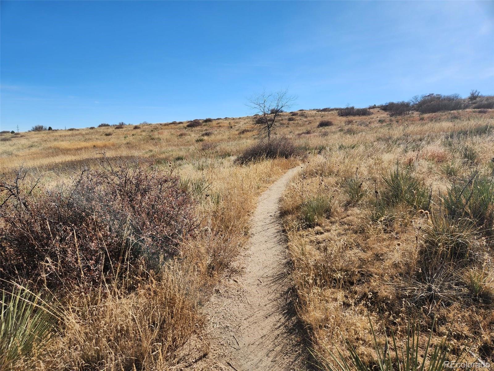 Colorado Springs, Colorado 80917, United States, 3 Bedrooms Bedrooms, ,3 BathroomsBathrooms,Residential,Active,68761