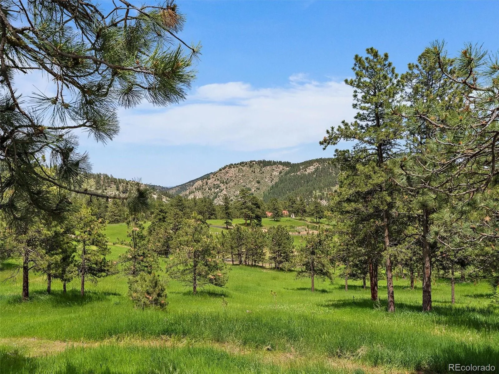 Indian Hills, Colorado 80454, United States, 2 Bedrooms Bedrooms, ,2 BathroomsBathrooms,Residential,Active,160288