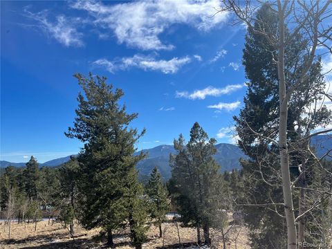 53 Deerhaven Drive Bailey CO 80421