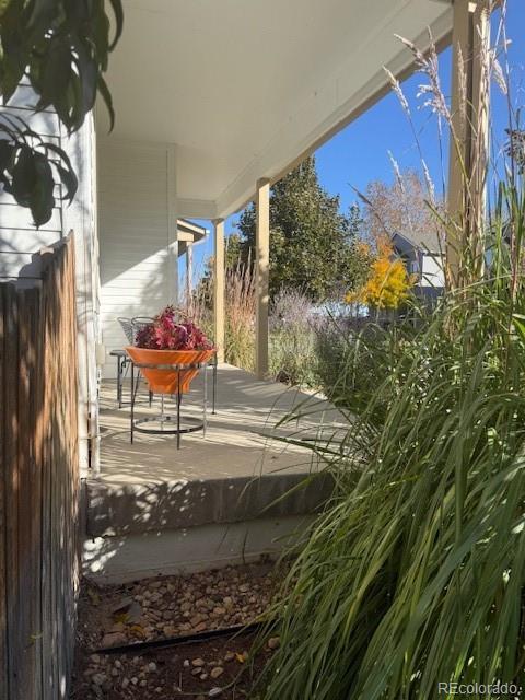 4591 Crestone Peak Street