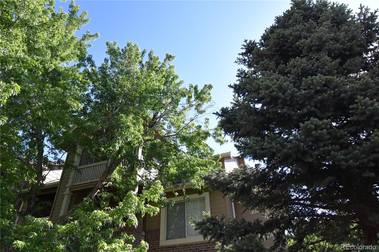 1631 W Canal Circle 832