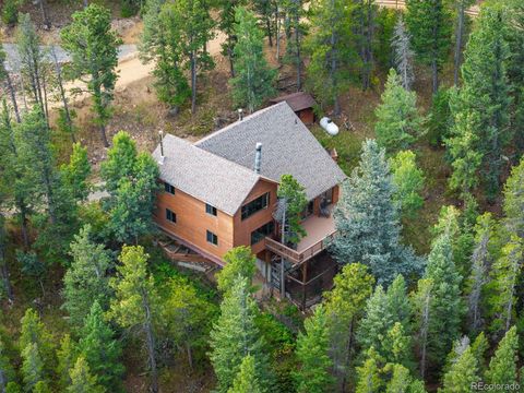 81 Doe Trail Nederland CO 80466