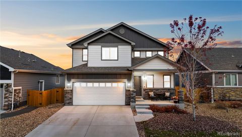 2173 Angus Street Mead CO 80542