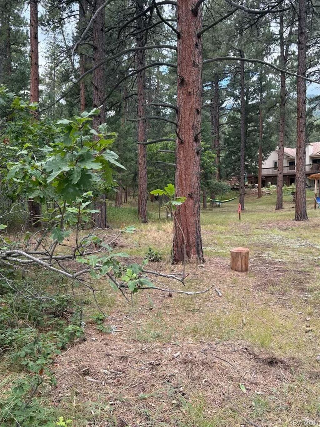 Photo of 5028 Crow Drive, Larkspur, CO 80118 (MLS # 7191668)