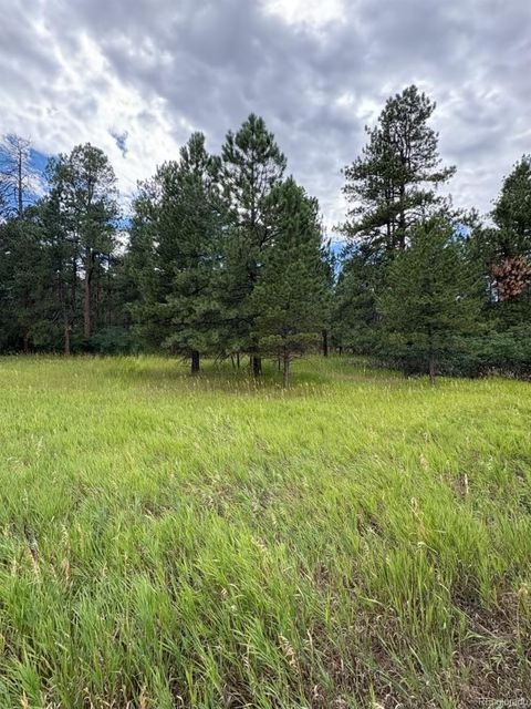 5028 Crow Drive Larkspur CO 80118
