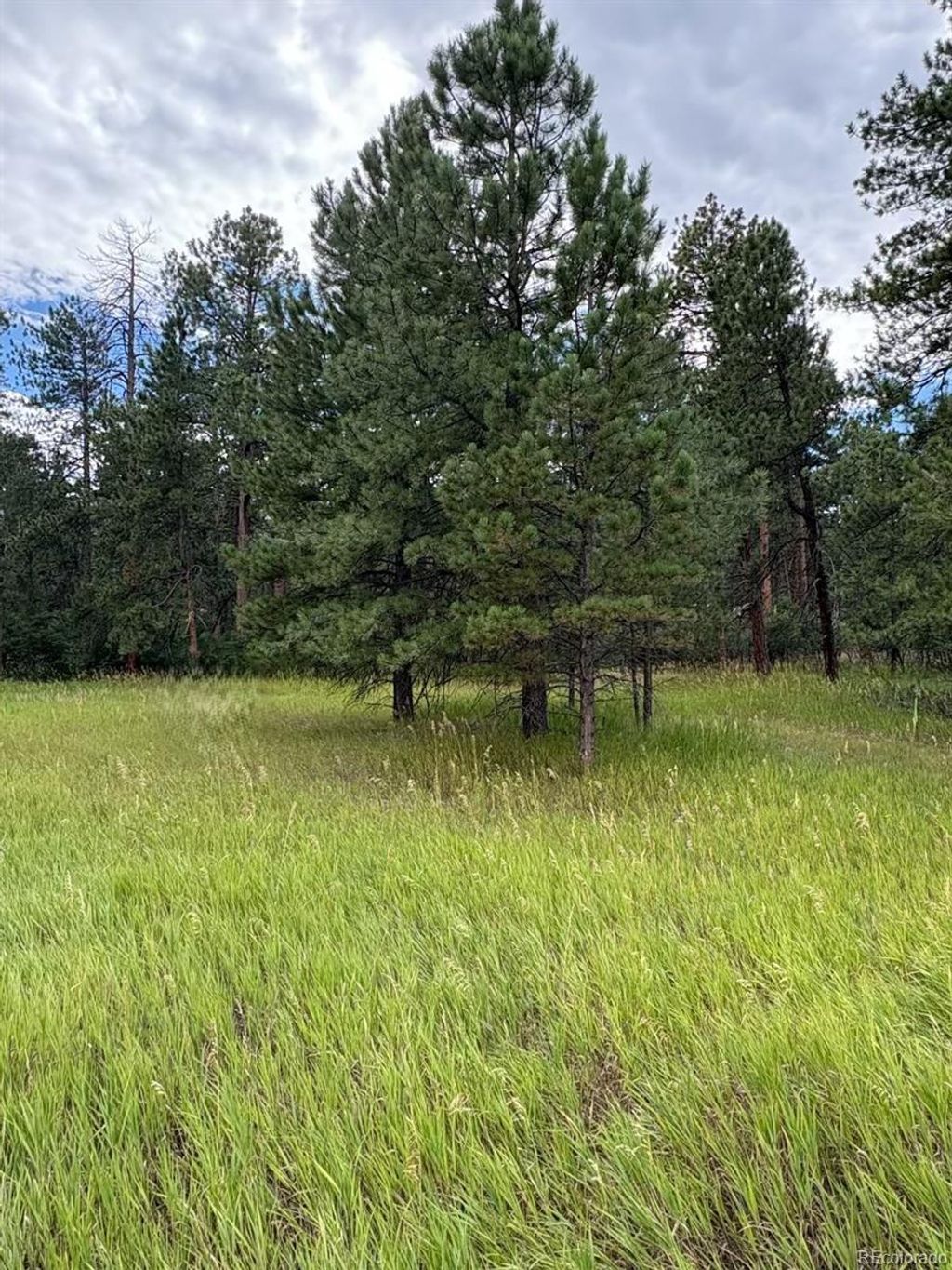 Photo of 5028 Crow Drive, Larkspur, CO 80118 (MLS # 7191668)