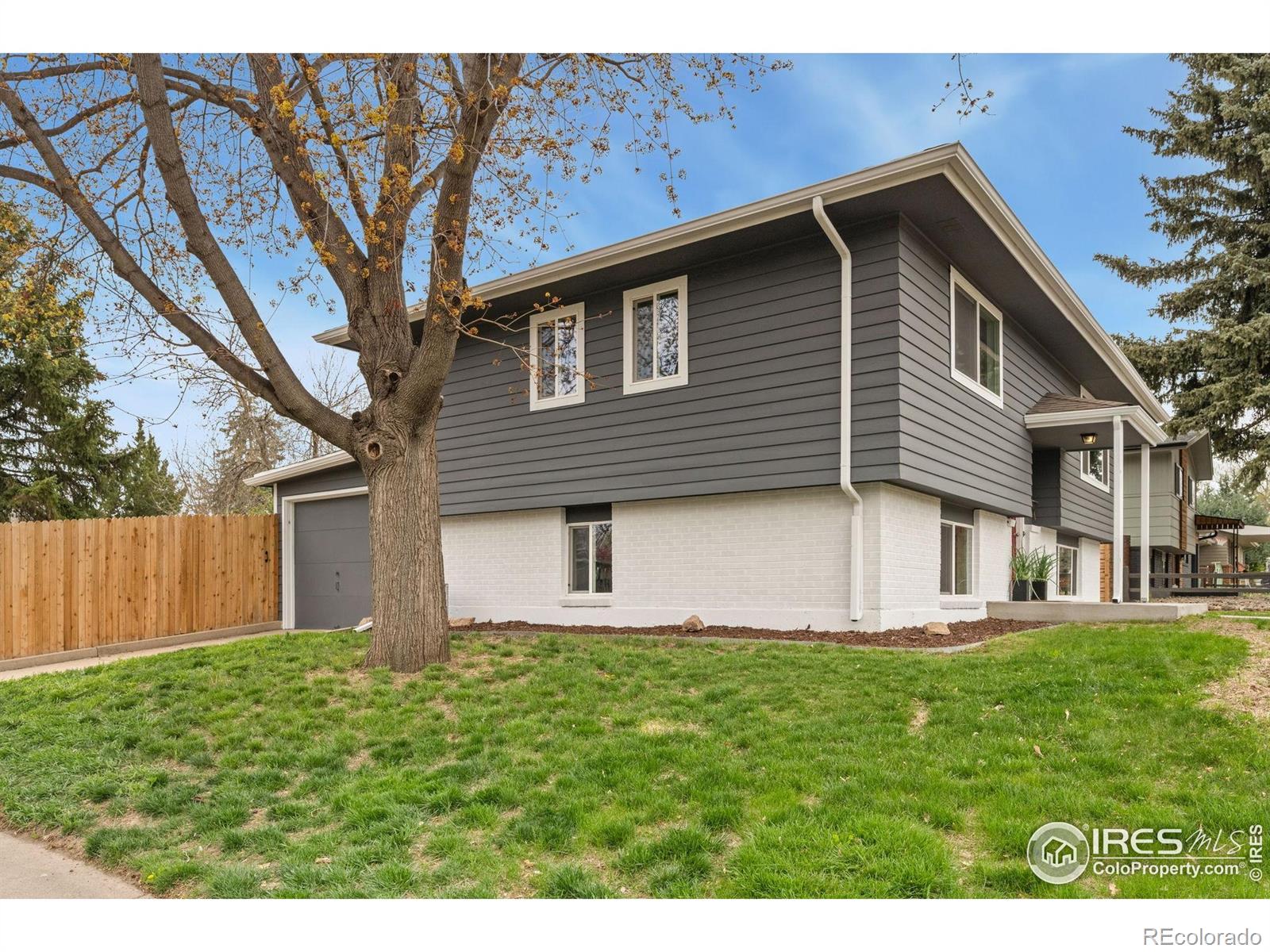 613 Dartmouth Trail