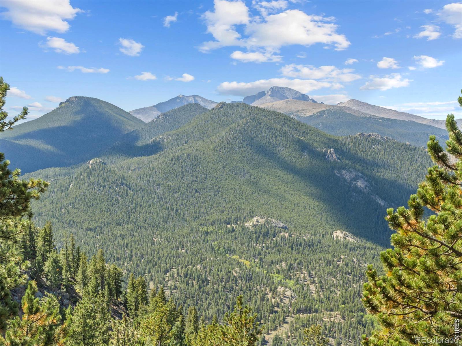 2741 Cedarcliff Drive