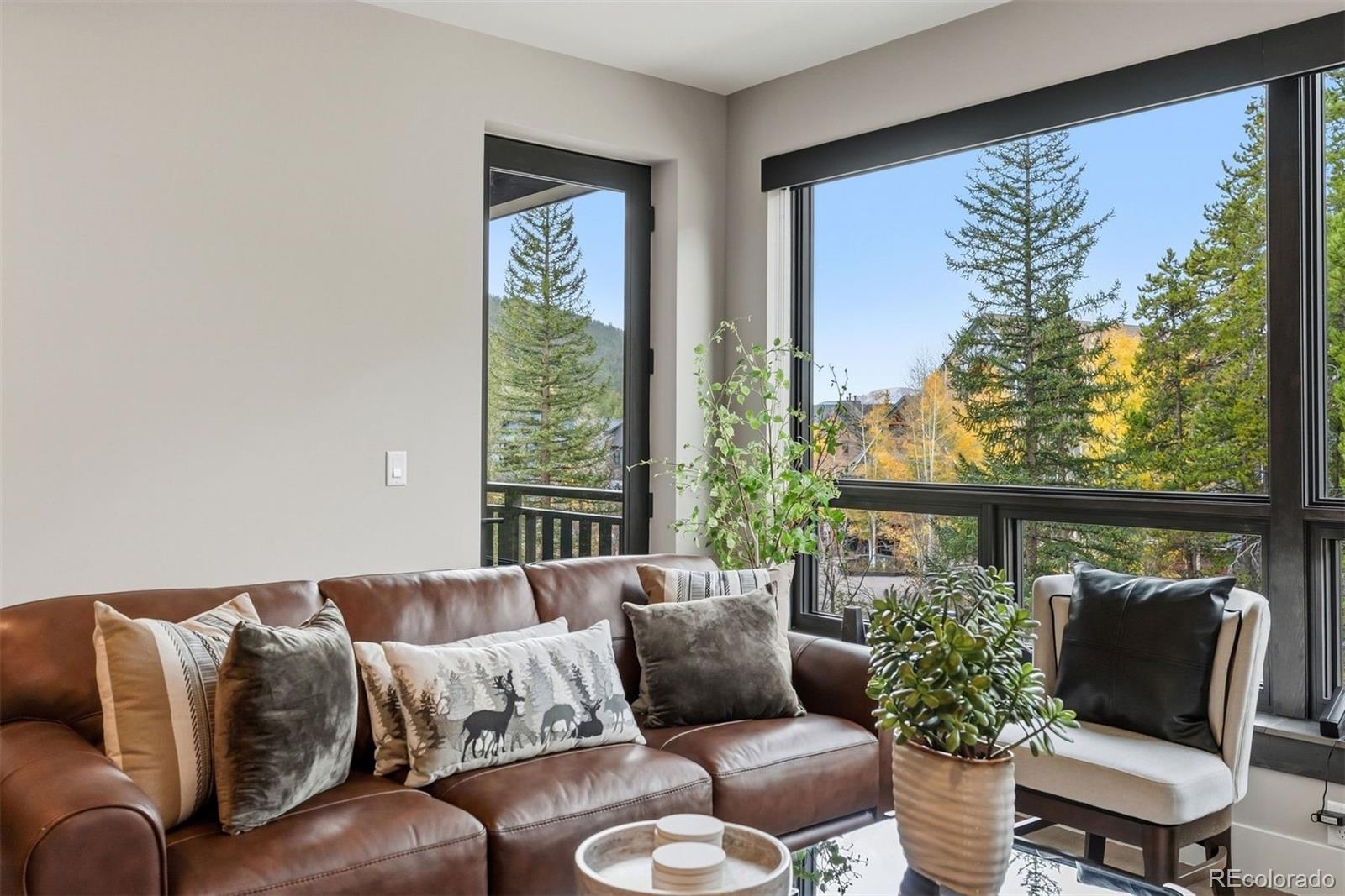 75 Hunkidori Court W209