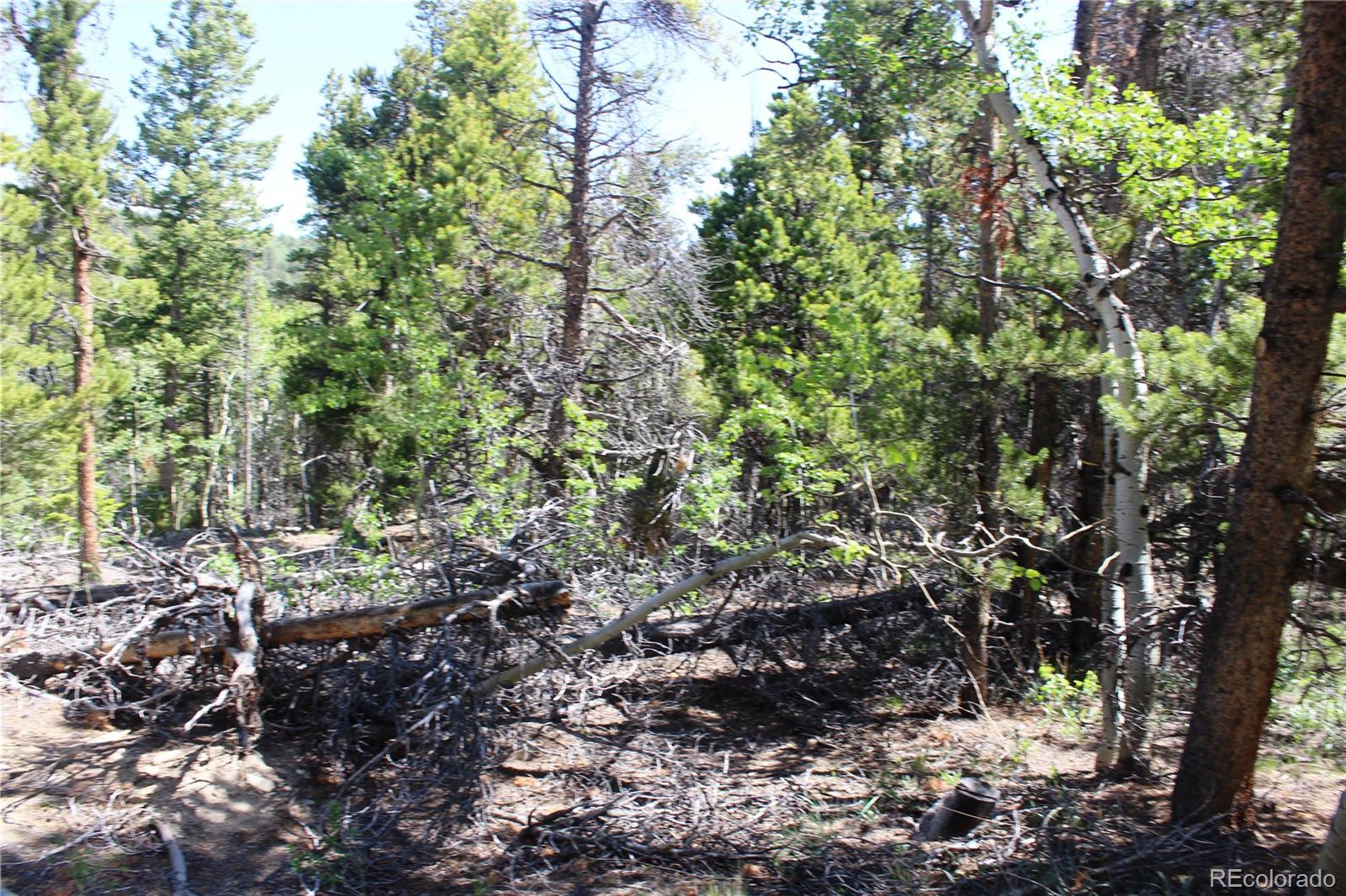6050 Virginia Canyon Road