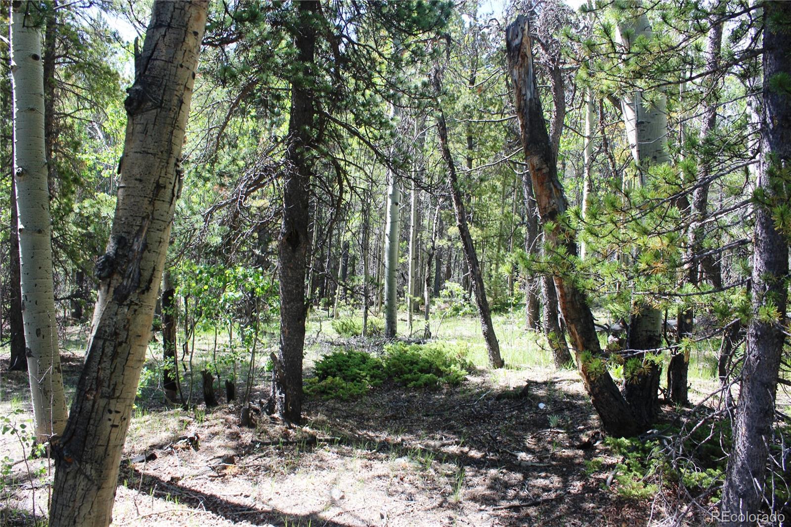 6050 Virginia Canyon Road
