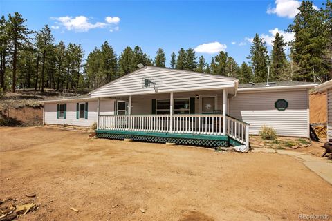 1011 W Bison Creek Trail Divide CO 80814